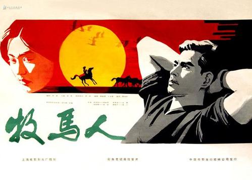 在哪里查询学历证书编号